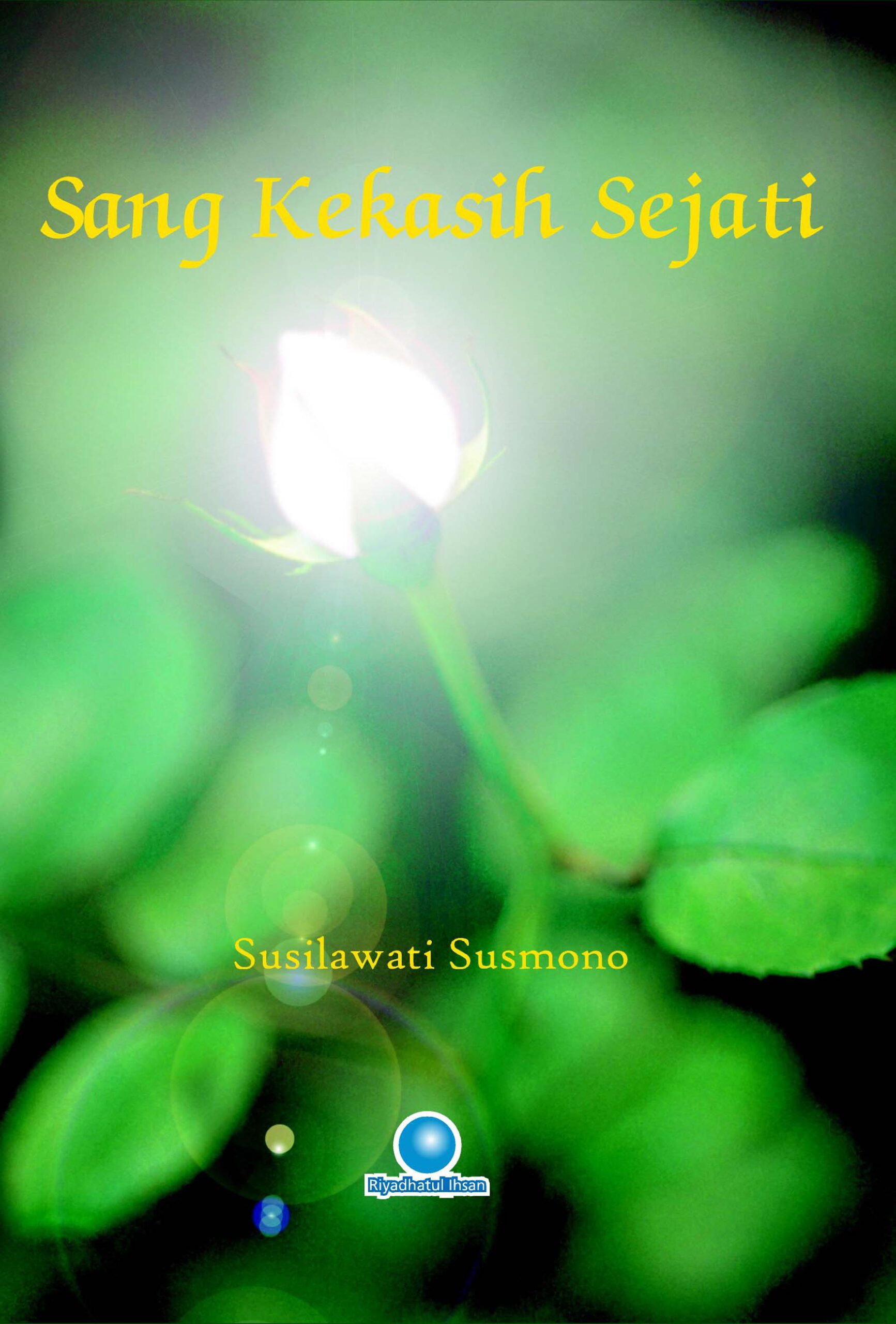 17. cover sang kekasih sejati crop